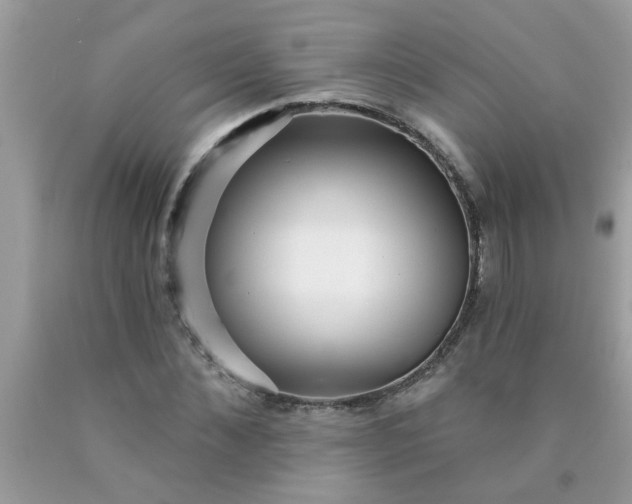 X0000090500876200707272359