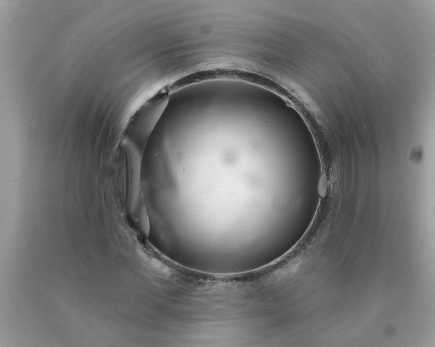 X0000090500877200707272359