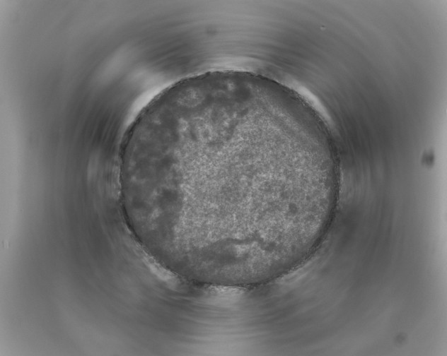 X0000090500878200707272359