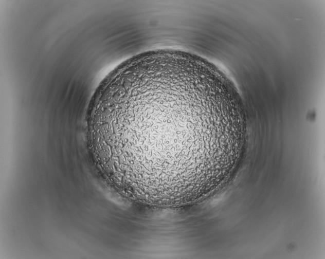 X0000090500879200707272359