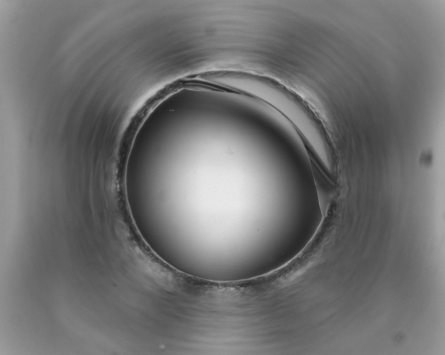 X0000090500880200707272359