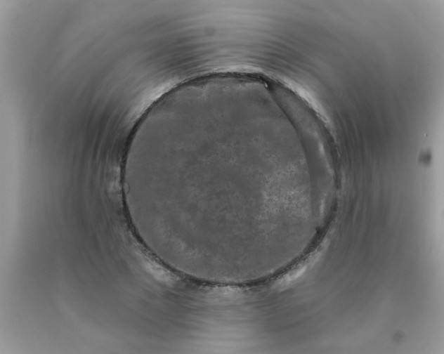 X0000090500881200707272359