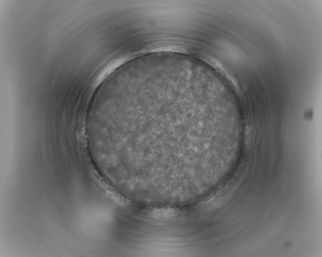 X0000090500882200707272359