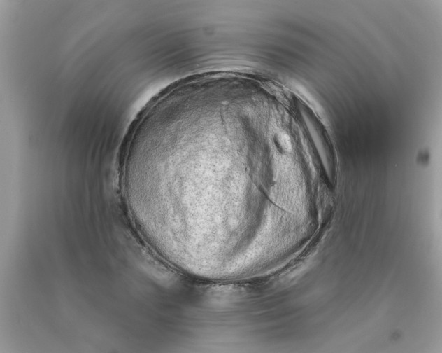 X0000090500883200707272359