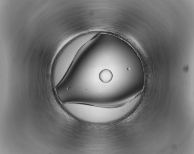 X0000090500884200707272359