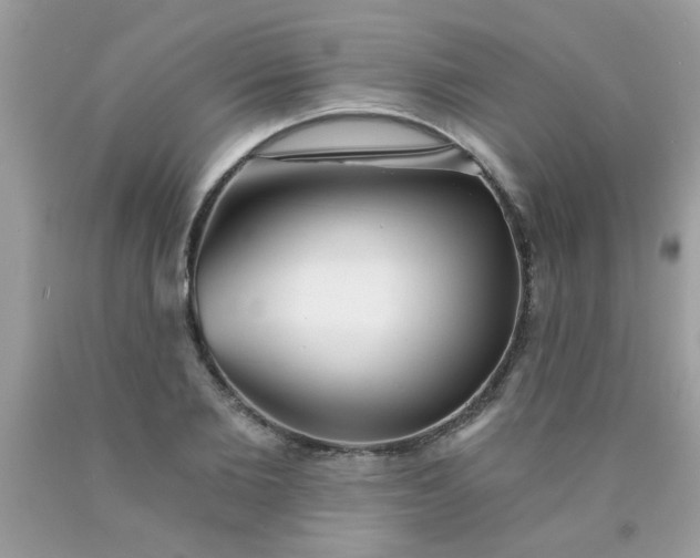 X0000090500885200707272359