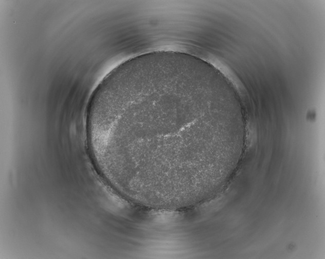 X0000090500886200707272359