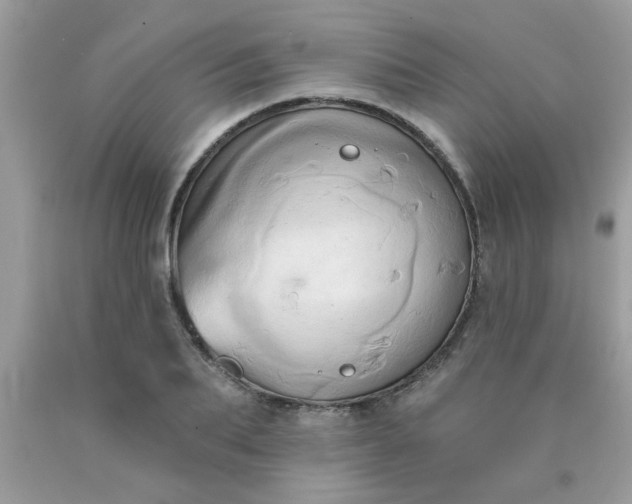 X0000090500887200707272359