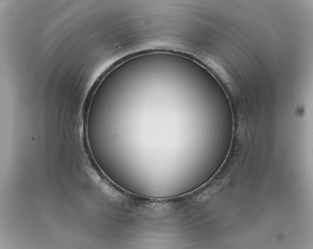 X0000090500888200707272359