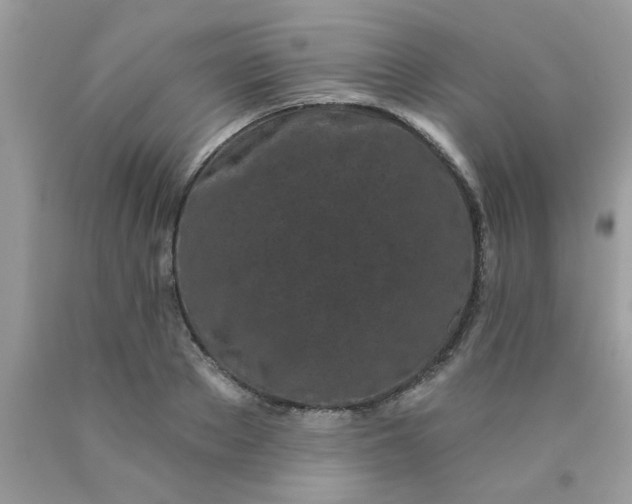 X0000090500889200707272359