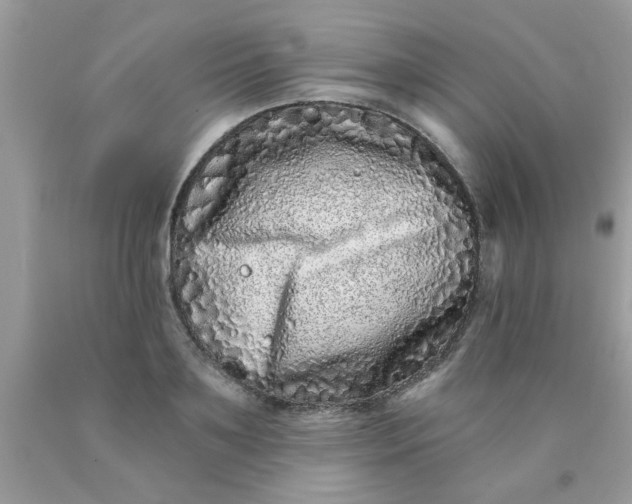 X0000090500891200707272359