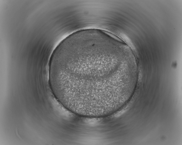 X0000090500892200707272359