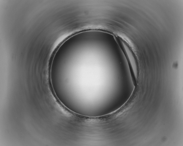 X0000090500894200707272359