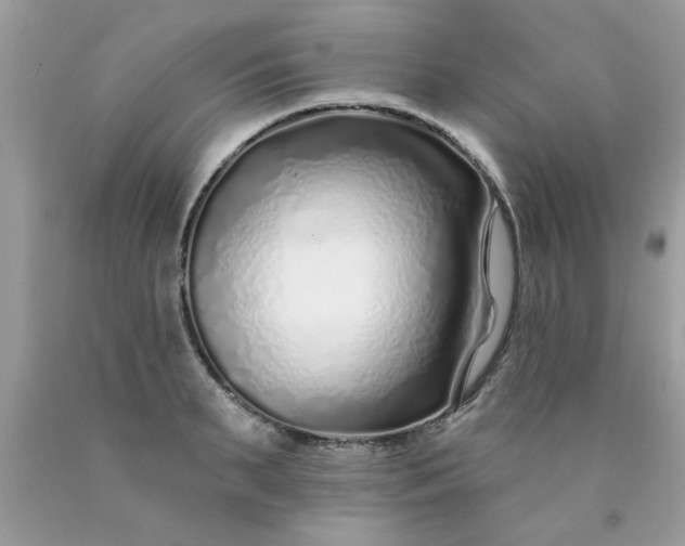 X0000090500895200707272359