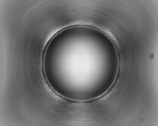 X0000090500896200707272359