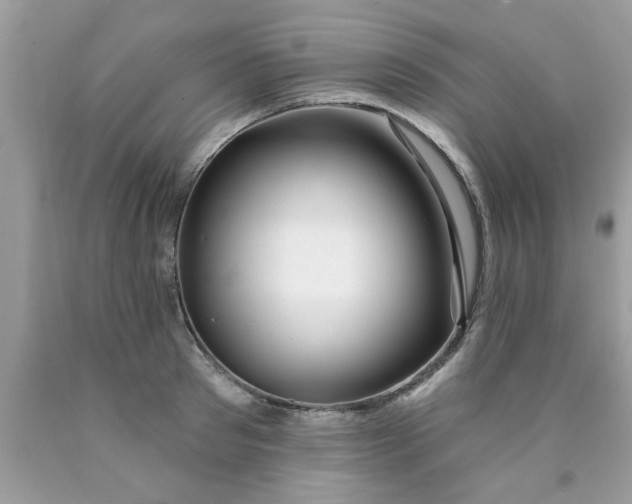 X0000090500897200707272359