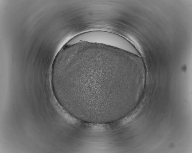 X0000090500899200707272359