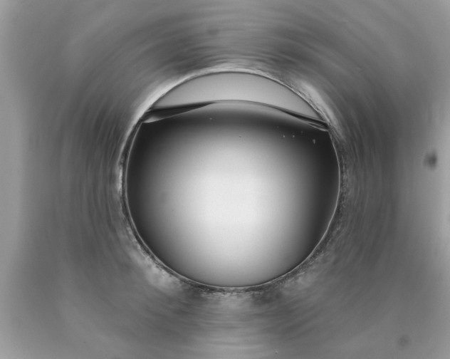 X0000090500900200707272359