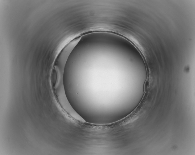 X0000090500901200707272359