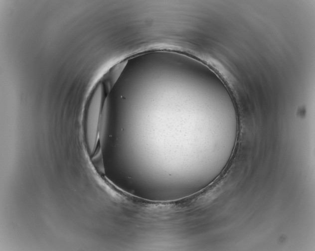 X0000090500902200707272359