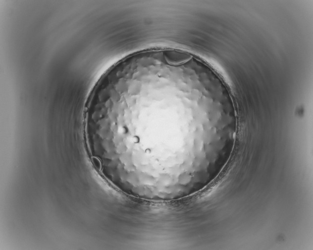 X0000090500903200707272359