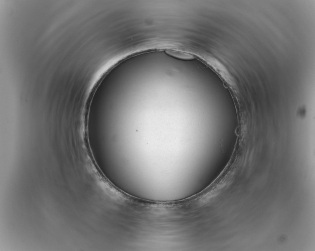 X0000090500904200707272359