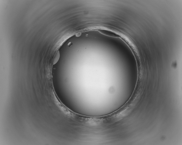 X0000090500905200707272359