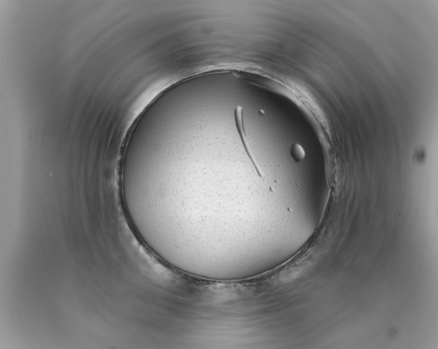 X0000090500906200707272359