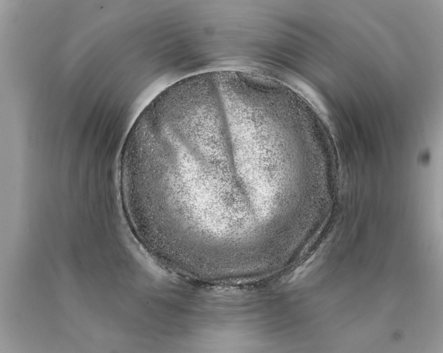 X0000090500907200707272359