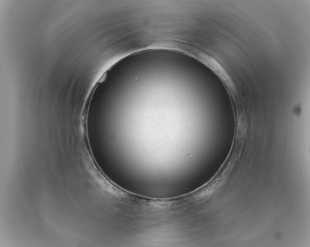 X0000090500908200707272359