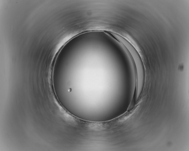 X0000090500909200707272359