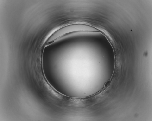 X0000090500910200707272359