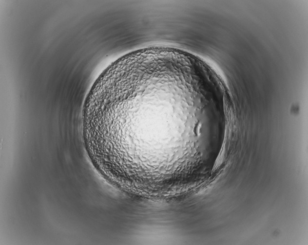 X0000090500911200707272359