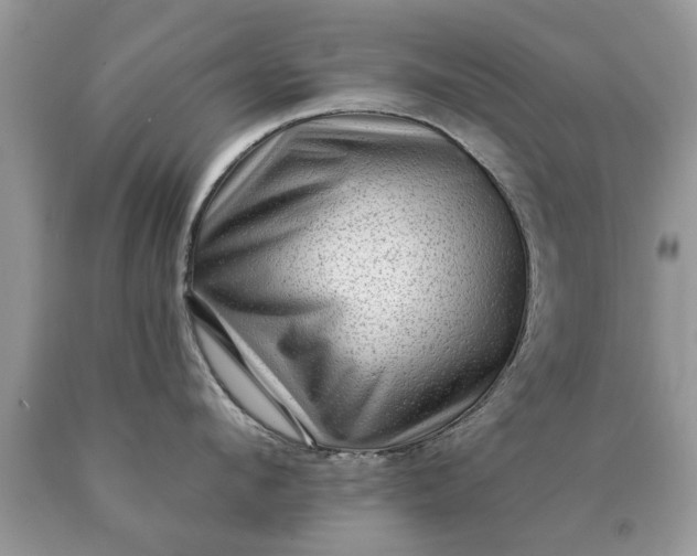 X0000090500912200707272359