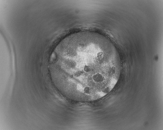 X0000090500913200707272358