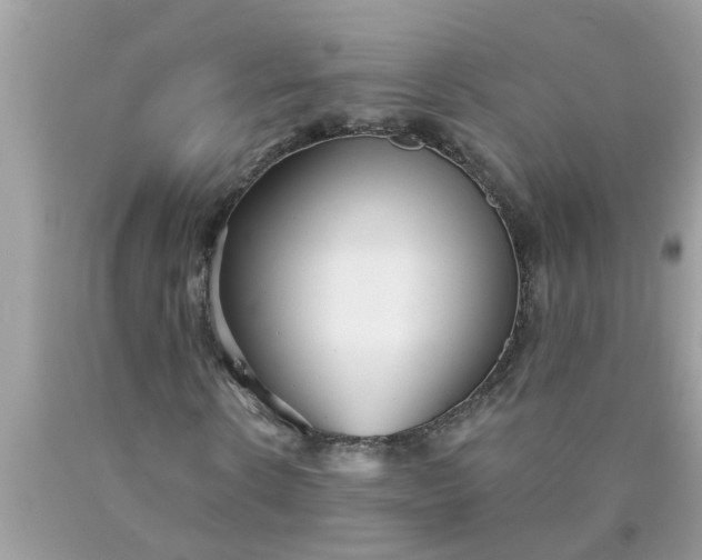 X0000090500914200707272358