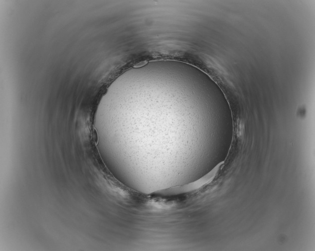 X0000090500915200707272358