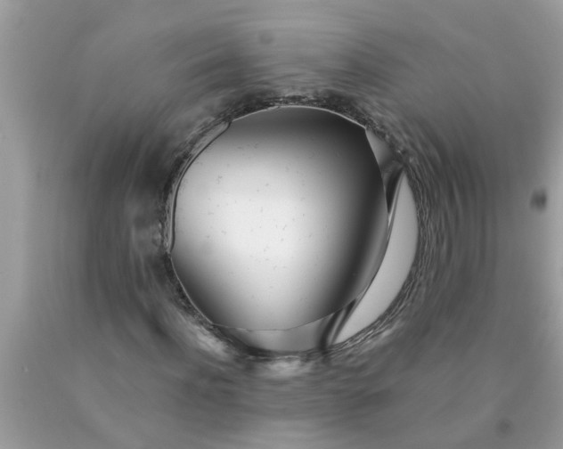 X0000090500916200707272358