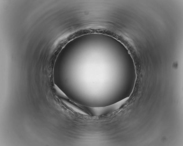 X0000090500920200707272358