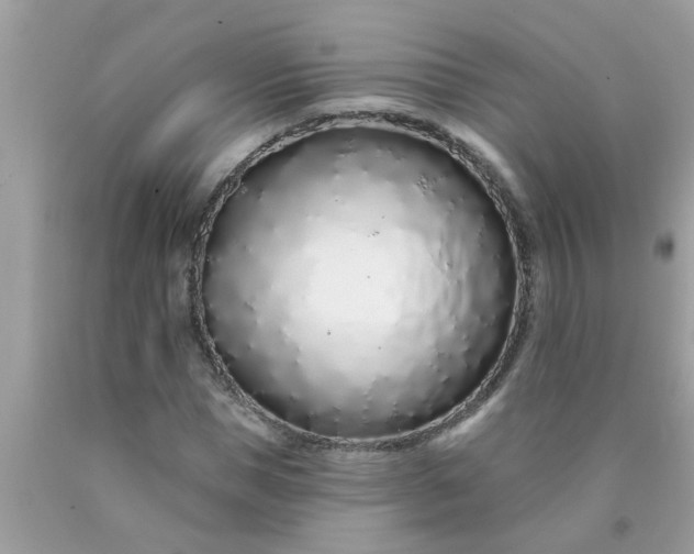 X0000090500921200707272358