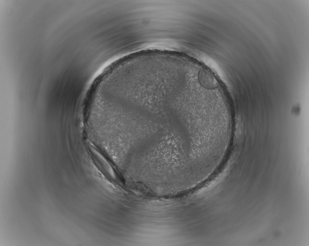 X0000090500923200707272358