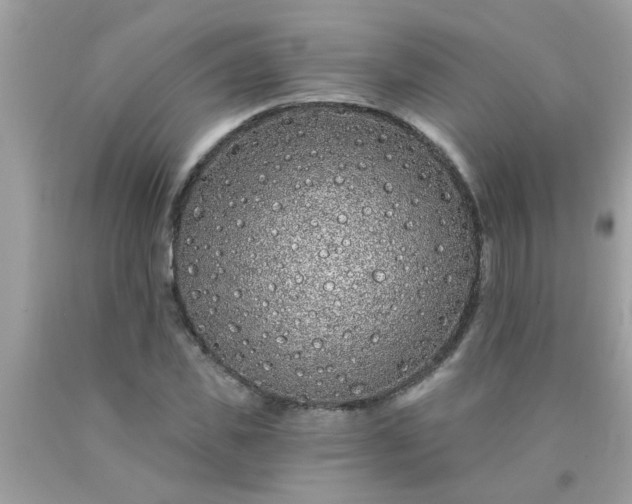 X0000090500925200707272358