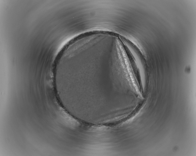 X0000090500926200707272358