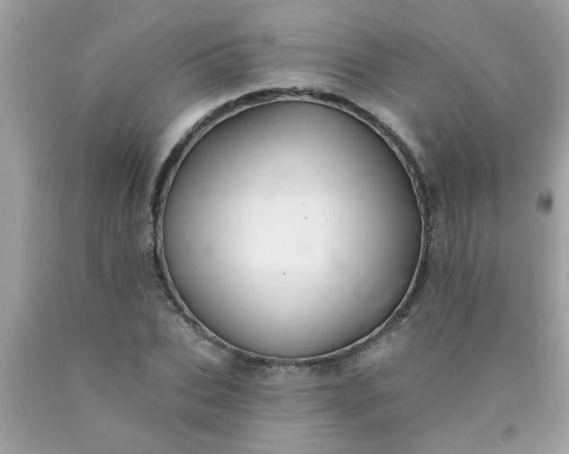 X0000090500927200707272358