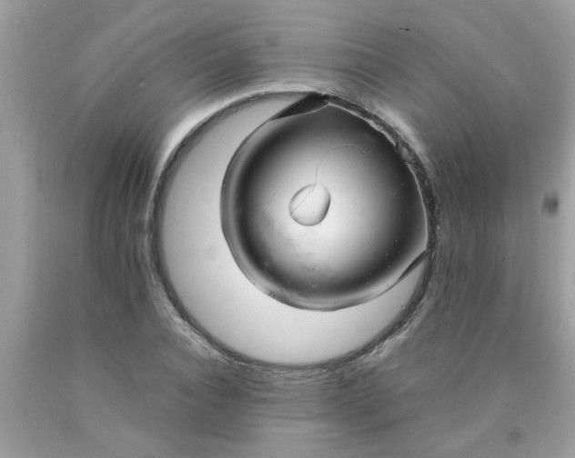 X0000090500928200707272358