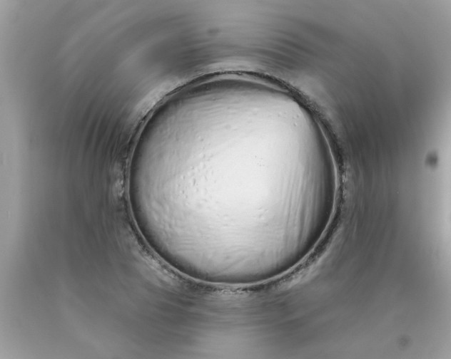 X0000090500929200707272358