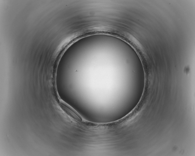 X0000090500930200707272358