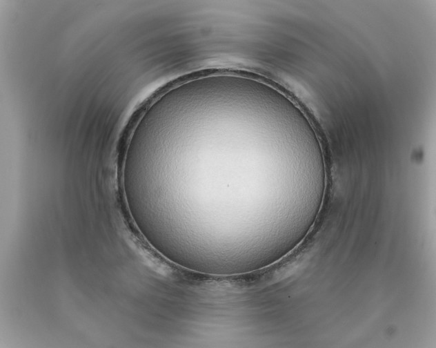 X0000090500931200707272358