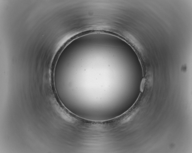 X0000090500932200707272358