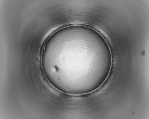 X0000090500933200707272358